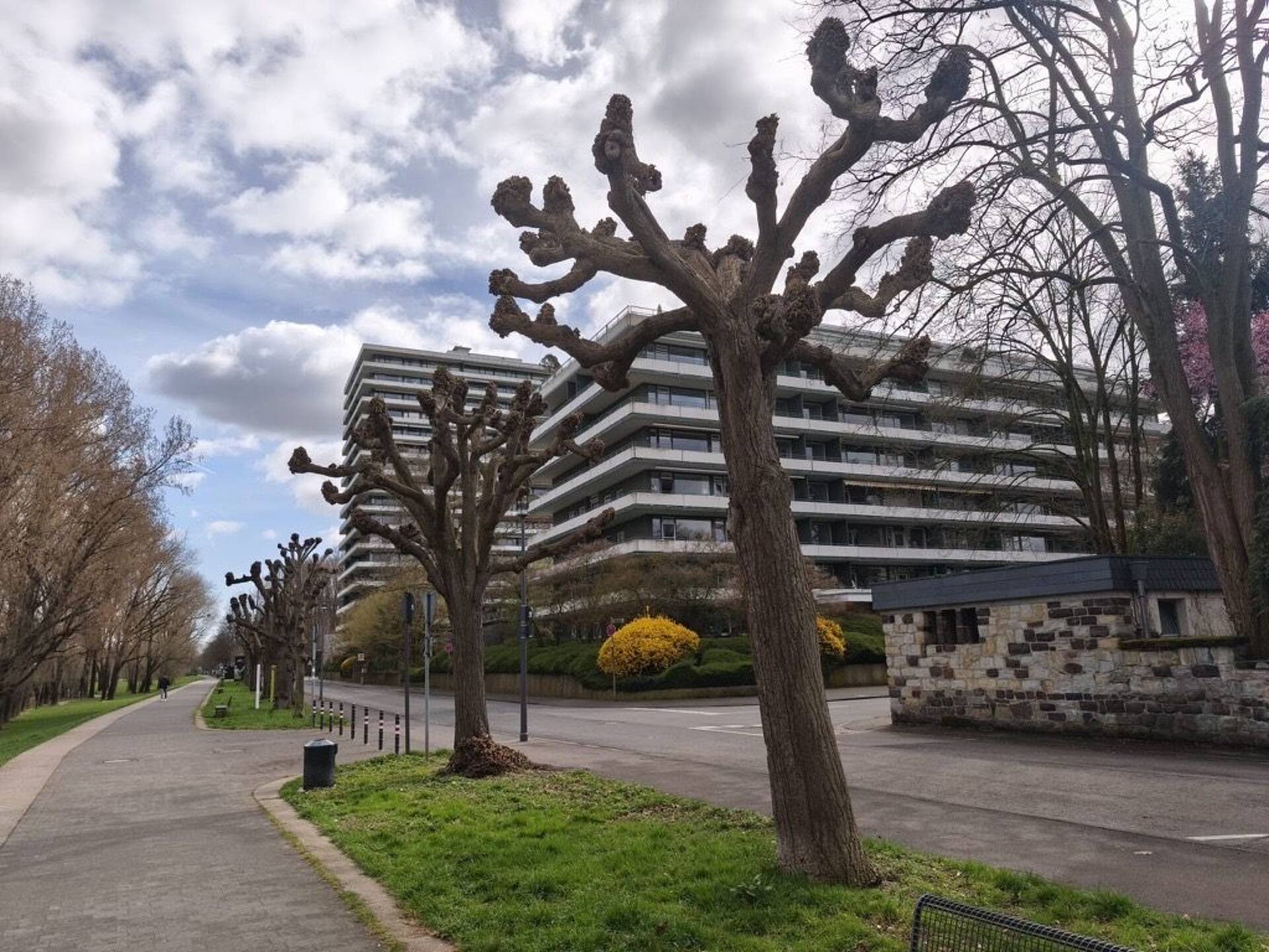 Etagenwohnung in 50996 Köln mit 38,08 m² kaufen