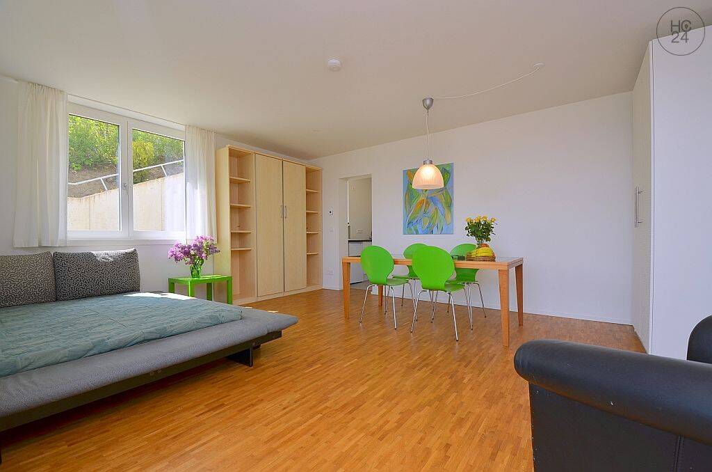Wunderschöne Wohnung mit traumhafter Aussicht in Stuttgart West – Stuttgart – Vorschaubild 2