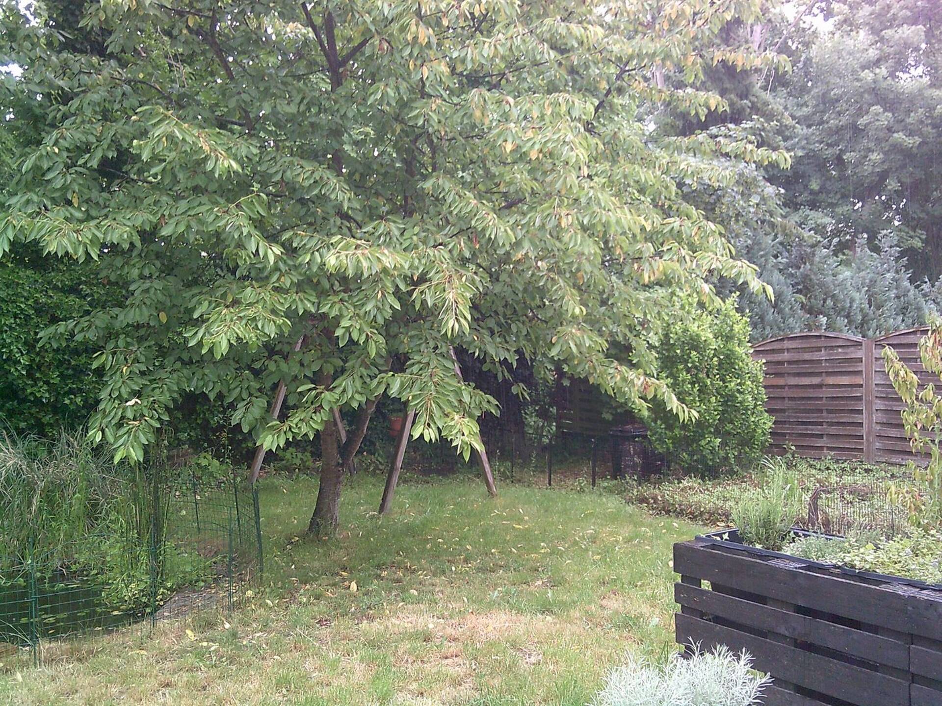 Haus in 66386 Sankt Ingbert mit 115 m² kaufen