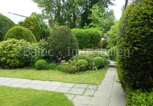 Schöne, komplett sanierte / renovierte Wohnung mit Gartenmitbenutzung ! – 22041 Hamburg – Vorschaubild 4