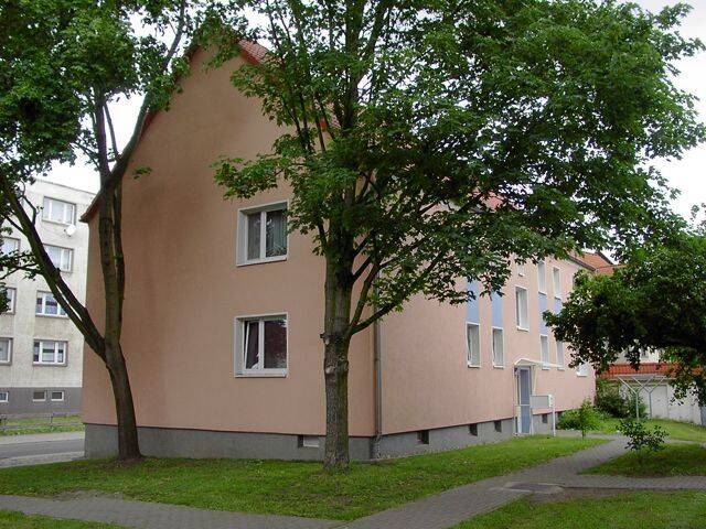 Hallo Lieblingsmieter-kleine Singlewohnung wird saniert-wohlfühlen ab 15.08.2026 – Magdeburg – Vorschaubild 5