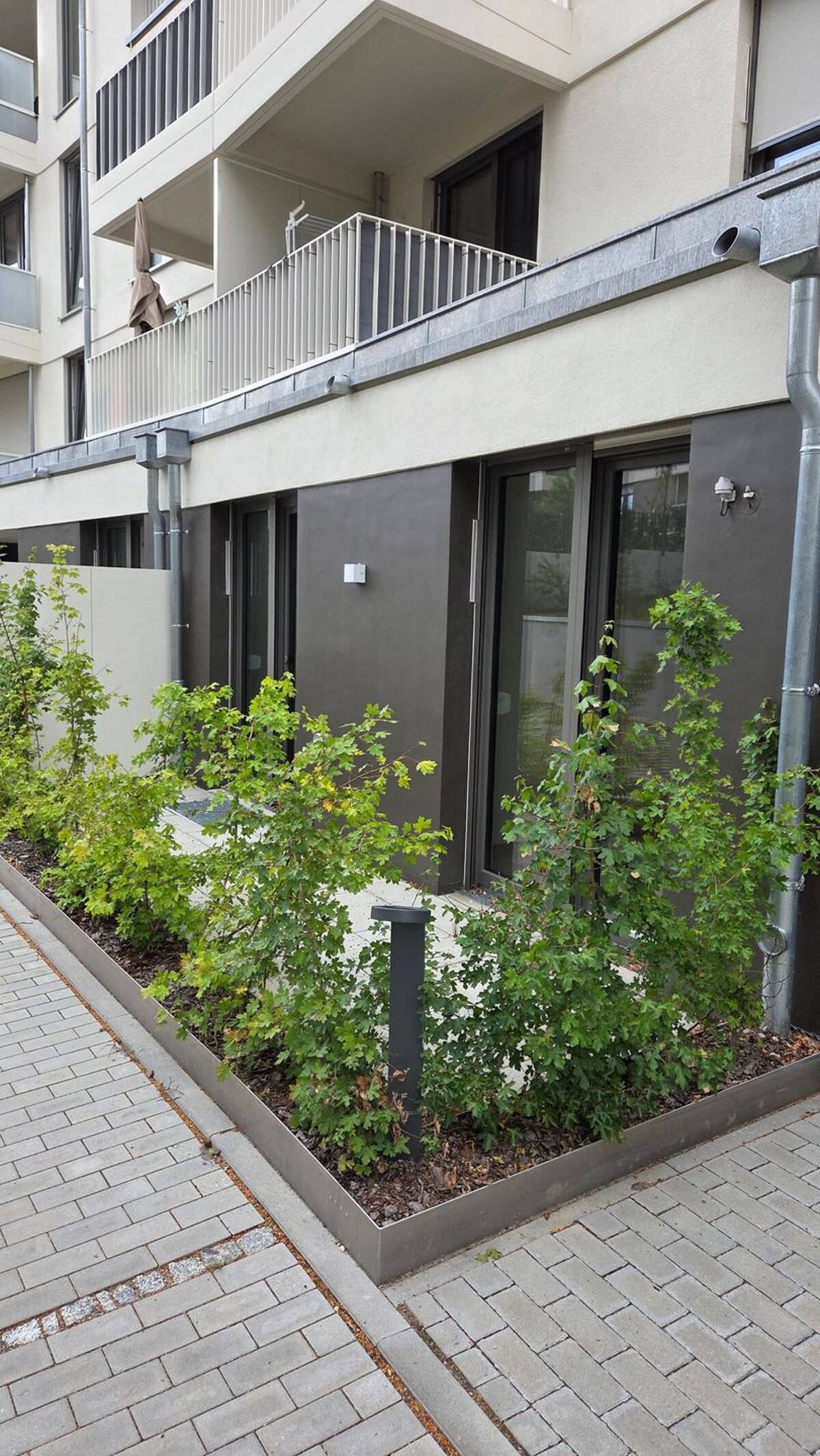 Wohnung in Dresden – 1159 Dresden – Bild 1 von 9
