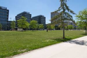 Provisionsfrei, zentral, grün. 3 Zimmer Wohnung am Arnulfpark. – 80636 München – Vorschaubild 5