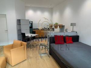 Lüneburg-City, möbliertes 1-Zimmer-Apartment für Kurzzeitvermietung – 21335 Lüneburg – Vorschaubild 3