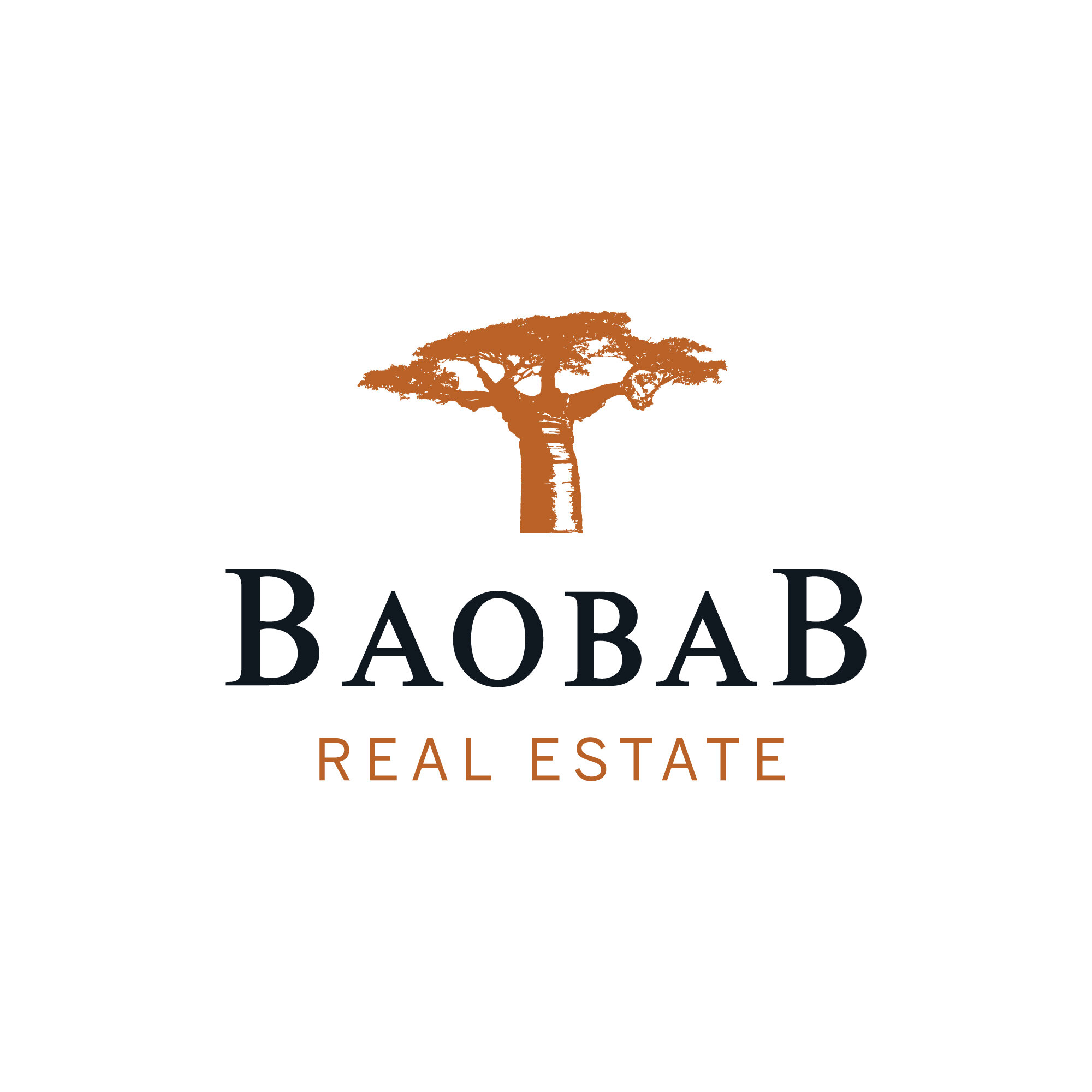 Baobab Real Estate NV logo