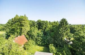 1-Zimmer-Wohnung München | Balkon | Aufzug | A+ saniert | Vermietet | Erbpacht – 81241 München – Vorschaubild 8