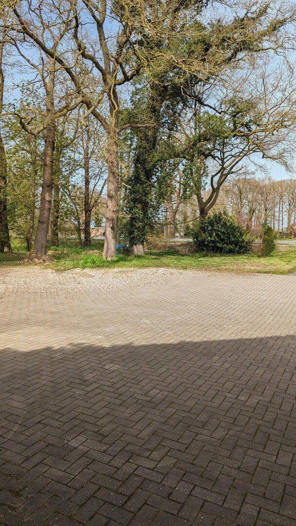 Provisionsfrei: Viel Platz - nahe Oldenburg. 2 Wohnungen – Hude (Oldenburg) – Vorschaubild 9