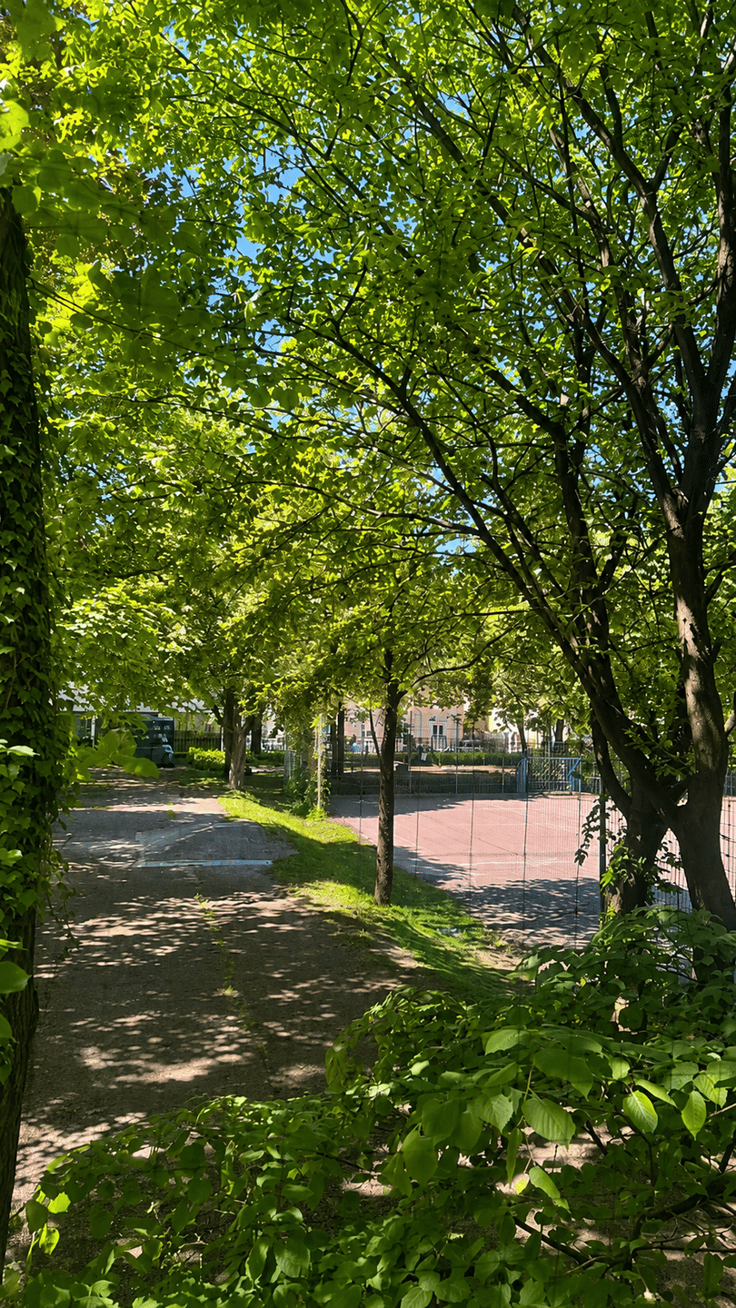 TOP IST RENDITE in München Ludwigvorstadt-Isarvorstadt – München – Vorschaubild 8