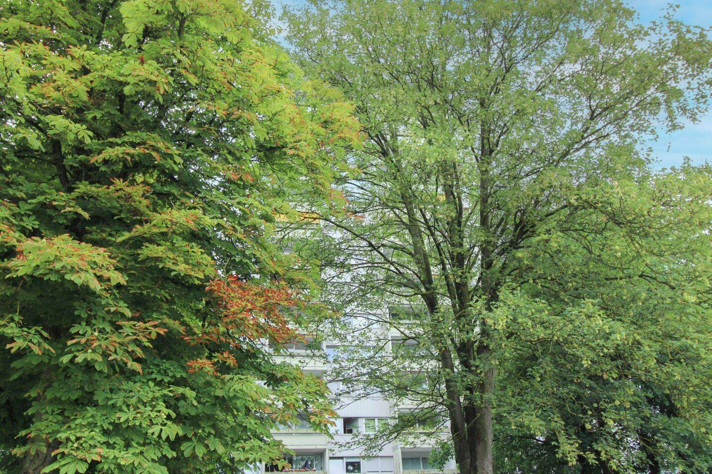 Sehr schön aufgeteilte 3-Zimmer-Wohnung mit traumhaftem Blick und Schwimmbad in Neu-Ulm