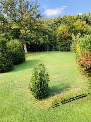 Haus am Baldeneysee! Extravagantes EFH / ZFH in Bredeney auf parkähnlichem Grundstück – 45133 Essen – Vorschaubild 7