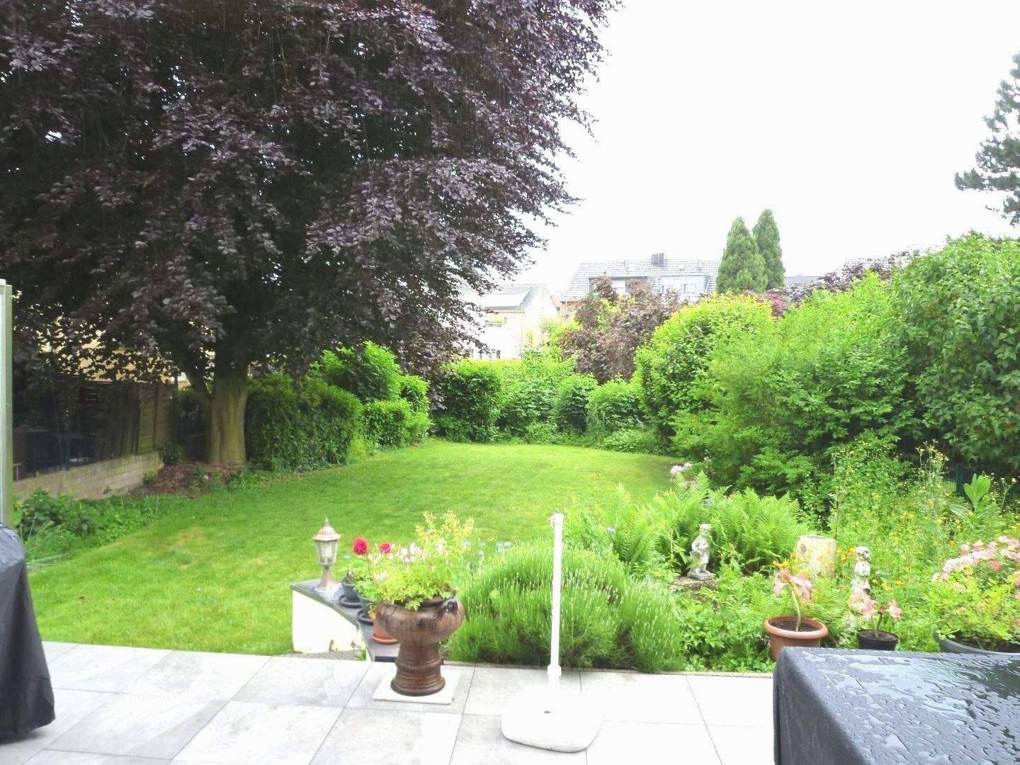 Modernisierte Doppelhaushälfte mit herrlichem Garten und Garage – Aachen – Vorschaubild 3