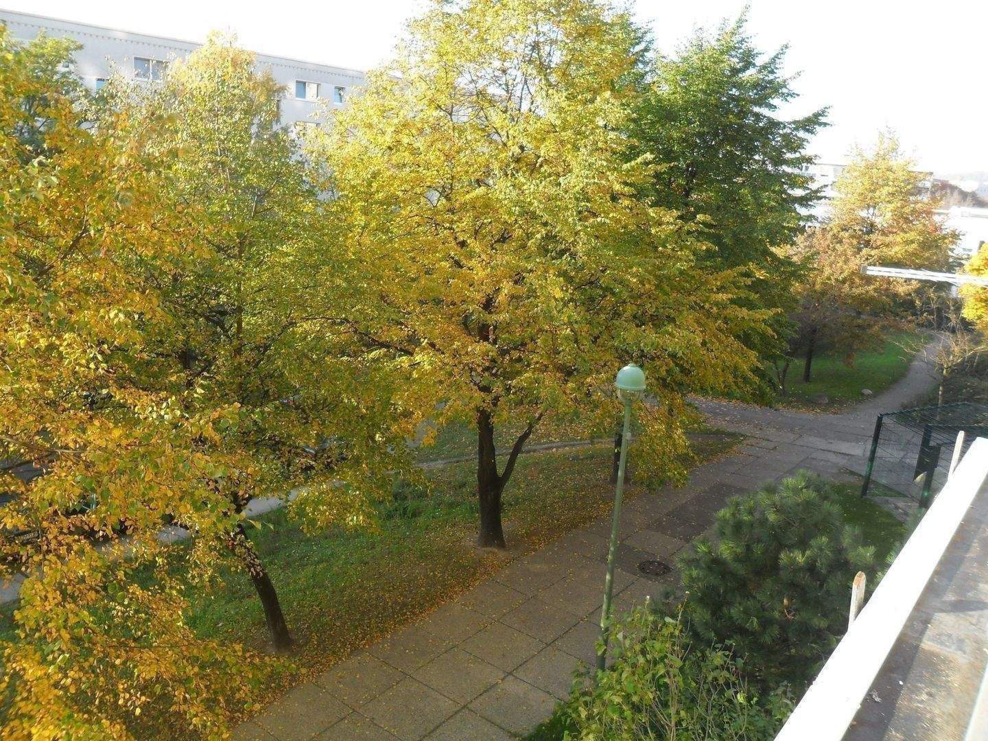 Keine Eigennutzung! Vermietete 4-Zi-Whg! Gut geschnitten mit Balkon im Hochhaus in Kaulsdof – Berlin – Vorschaubild 6