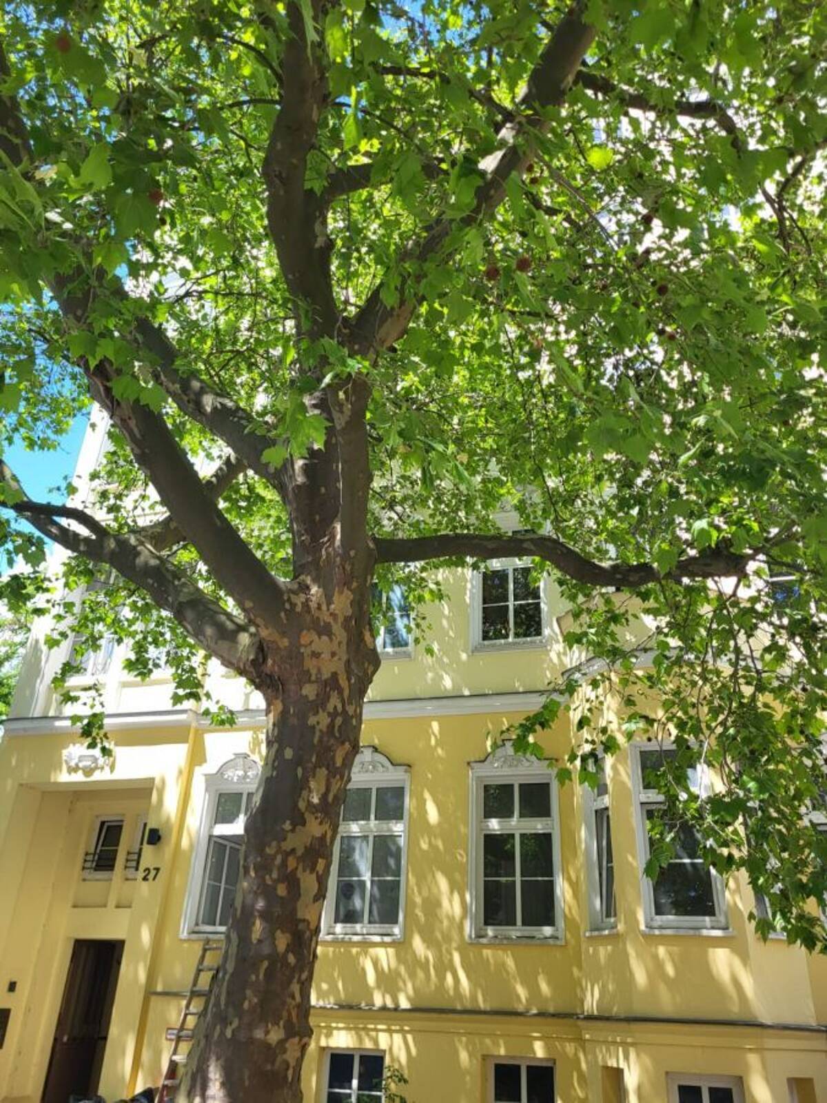 Provisionsfrei* Von Privat - Traumhafte Altbauwohnung 4-Zi auf 116m2 Lift im Herzen v. Berlin-Mitte – 10115 Berlin – Bild 1 von 9