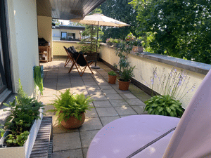 Neu renoviertes Penthouse mit umlaufender Dachterrasse – 81545 München – Vorschaubild 3