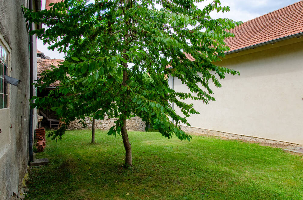 Charakterstarkes Wohnhaus mit Geschichte - ehemaliges Gemeindehaus, sofort einziehen – Königstein – Vorschaubild 8