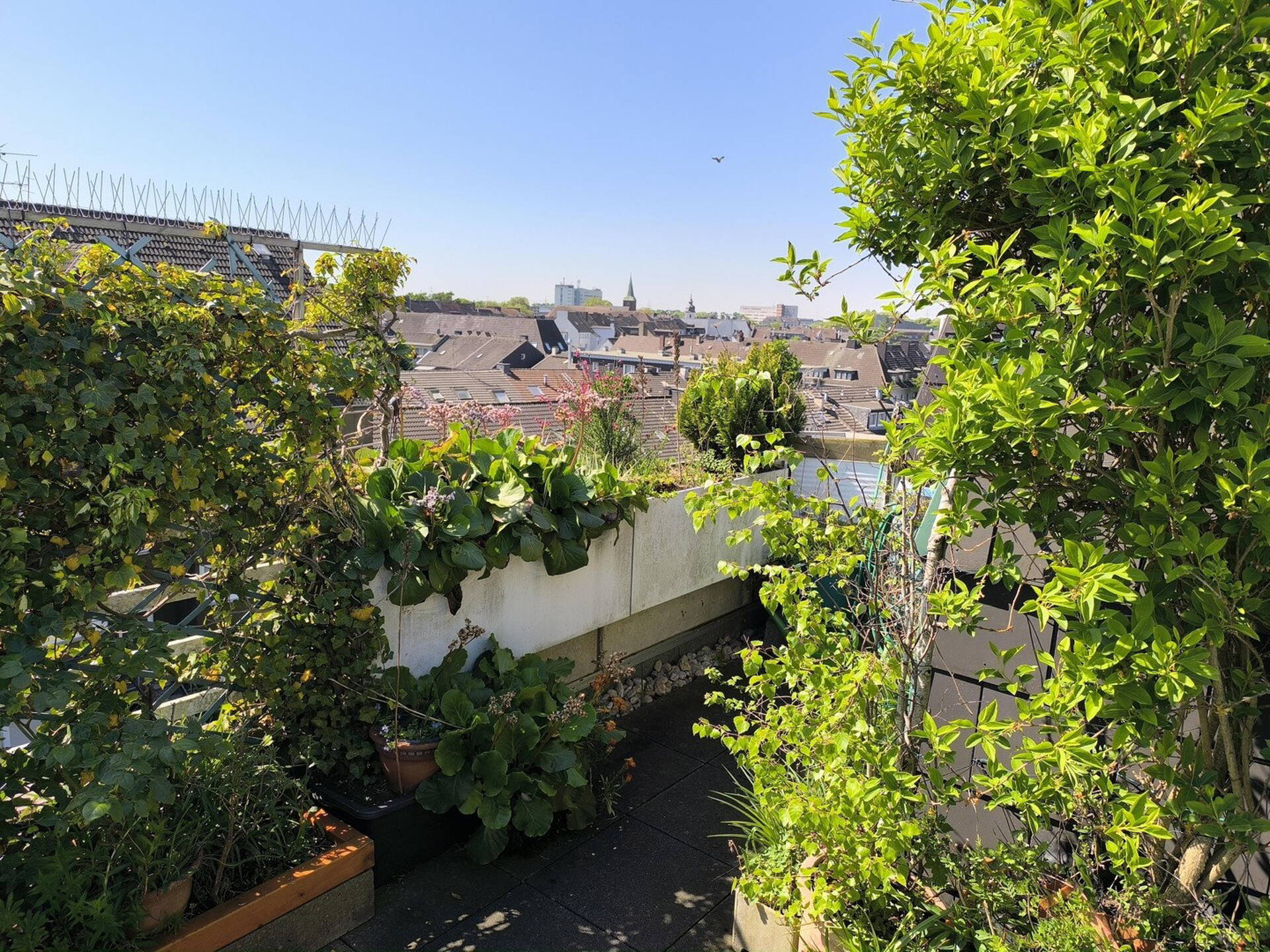 Terrassenwohnung in 46535 Dinslaken mit 147,5 m² kaufen