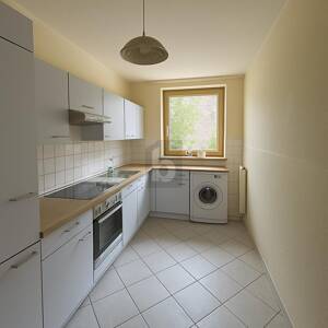 BALKON-DUO, GARTENIDYLLE & IDEENSPIELRAUM – 20535 Hamburg – Vorschaubild 4