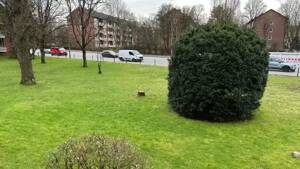 Gute vermietete Wohnung in Ohlsdorf – 22309 Hamburg – Vorschaubild 4