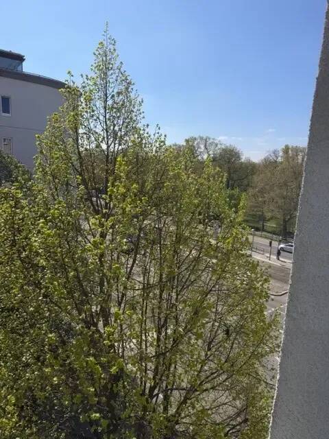 Schönes helles 1 Zimmerapartment mit Balkon und Blick zum Park im Prenzlauer Berg – Berlin – Vorschaubild 6