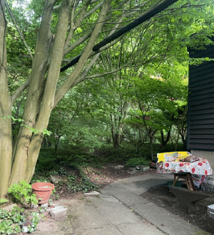 Mit Geschick und Mut wird`s bestimmt ganz gut: Freist. EFH mit Wald-Grundstück! – 44227 Dortmund – Vorschaubild 6