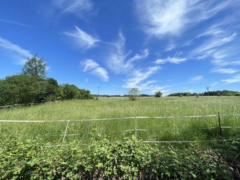 1.307 m² voller Möglichkeiten: Großzügiges Einfamilienhaus mit XXL-Grundstück in Lauf-Neunhof – Lauf an der Pegnitz – Vorschaubild 2