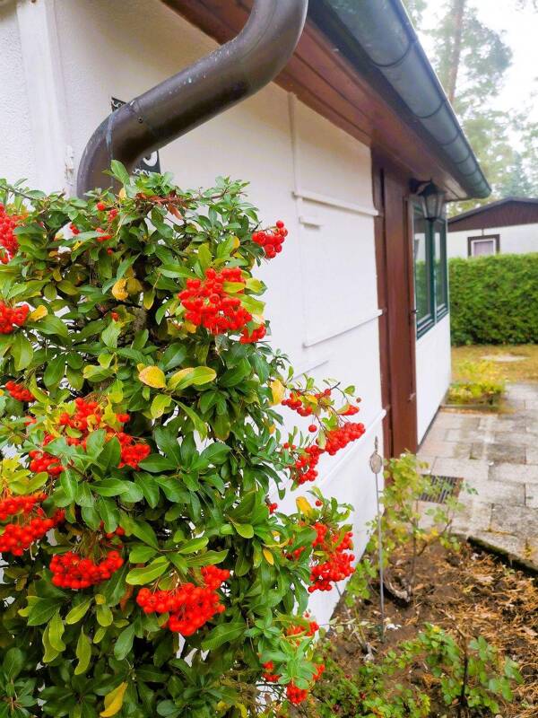 Bungalow in 39217 Gommern mit 25 m² kaufen