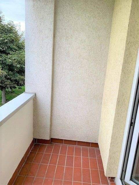 Gemütliche 2-Raum Wohnung mit Balkon ins Grüne sucht Nachmieter. – Magdeburg – Vorschaubild 9