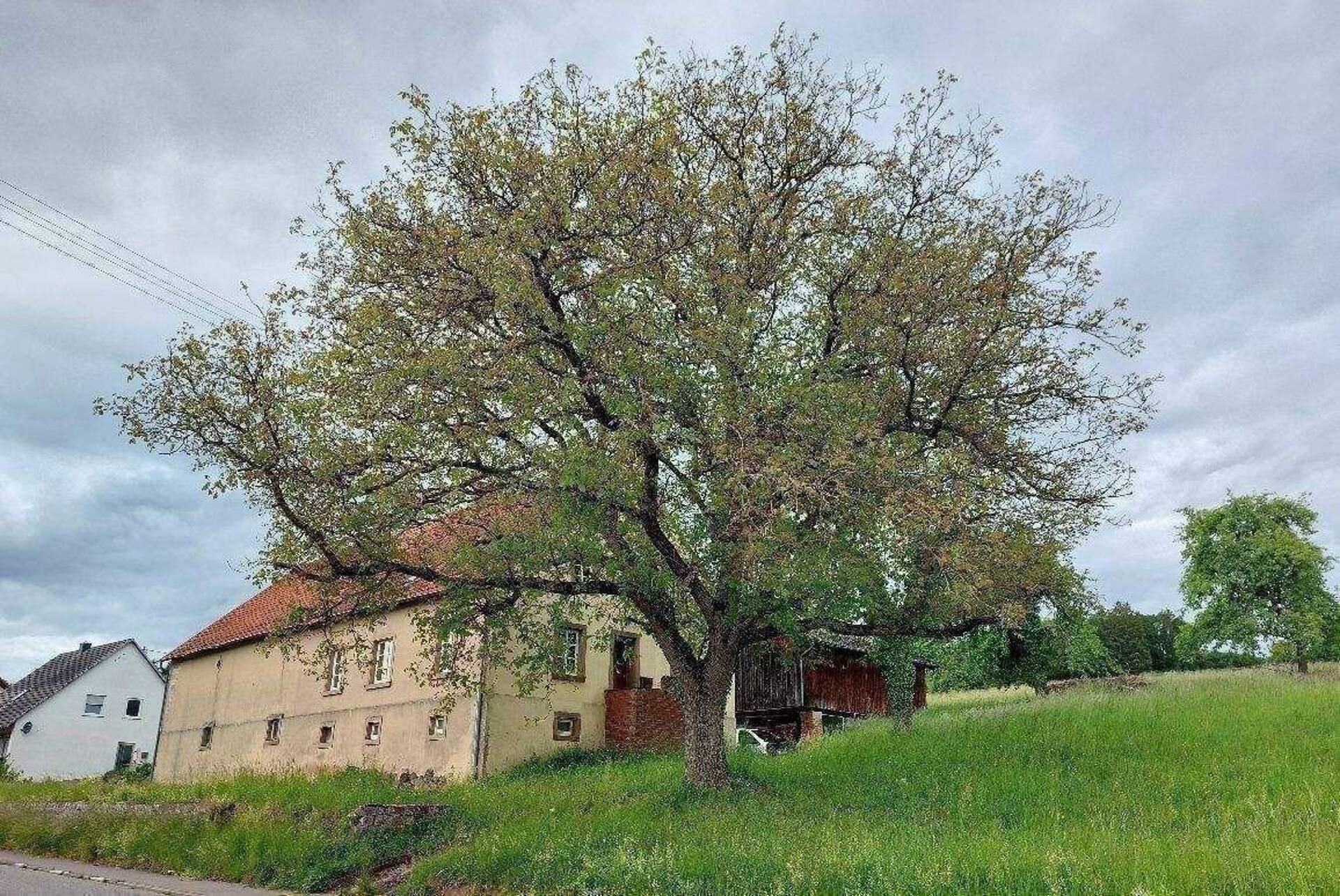 Haus in 66440 Blieskastel mit 160 m² kaufen