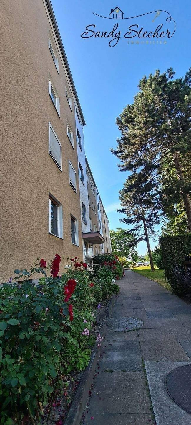 Bezugsfrei nahe Kutschi: Lichtdurchflutete Wohnung mit Süd-West-Balkon – Berlin – Vorschaubild 2