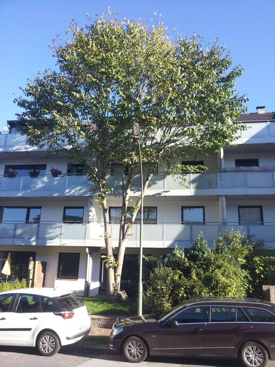 Schöne 2-Zimmer Wohnung mit Balkon