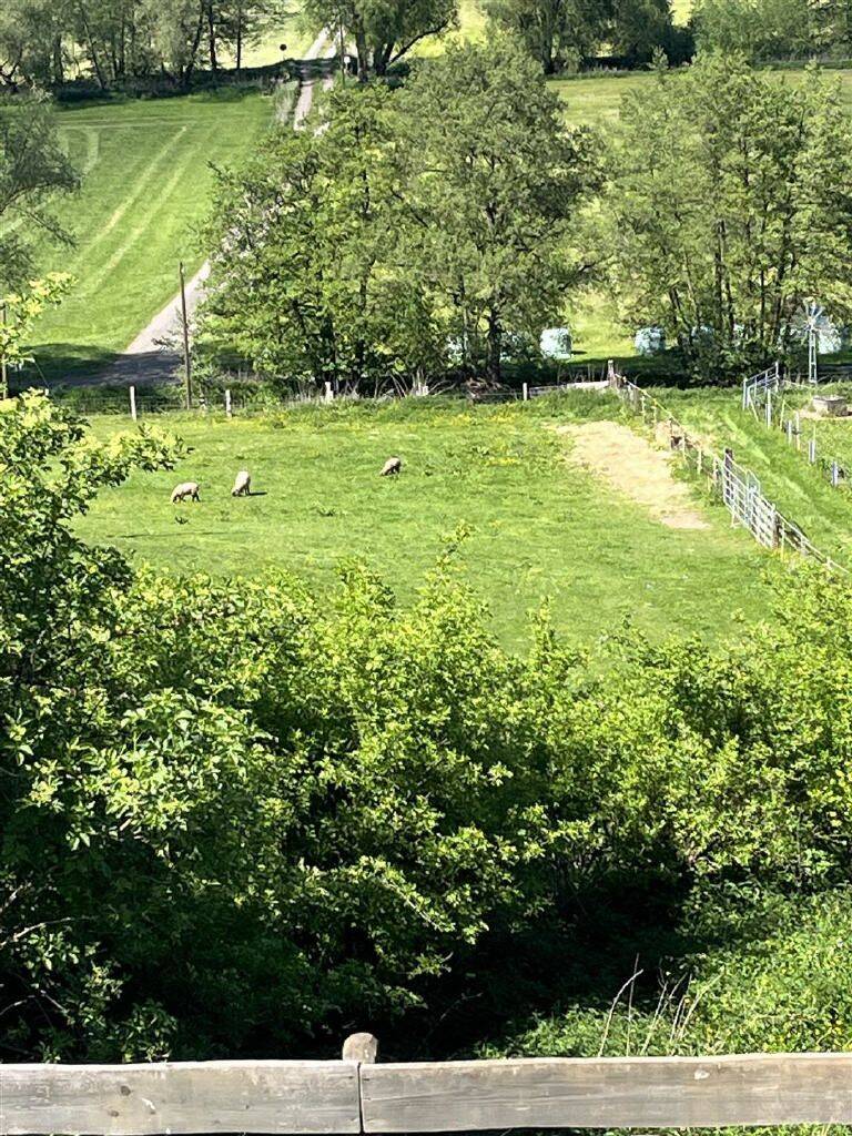 Landsitz in Alleinlage mit Weitblick - ca. 2,1 ha Anwesen in Twistetal! – Twistetal – Vorschaubild 4