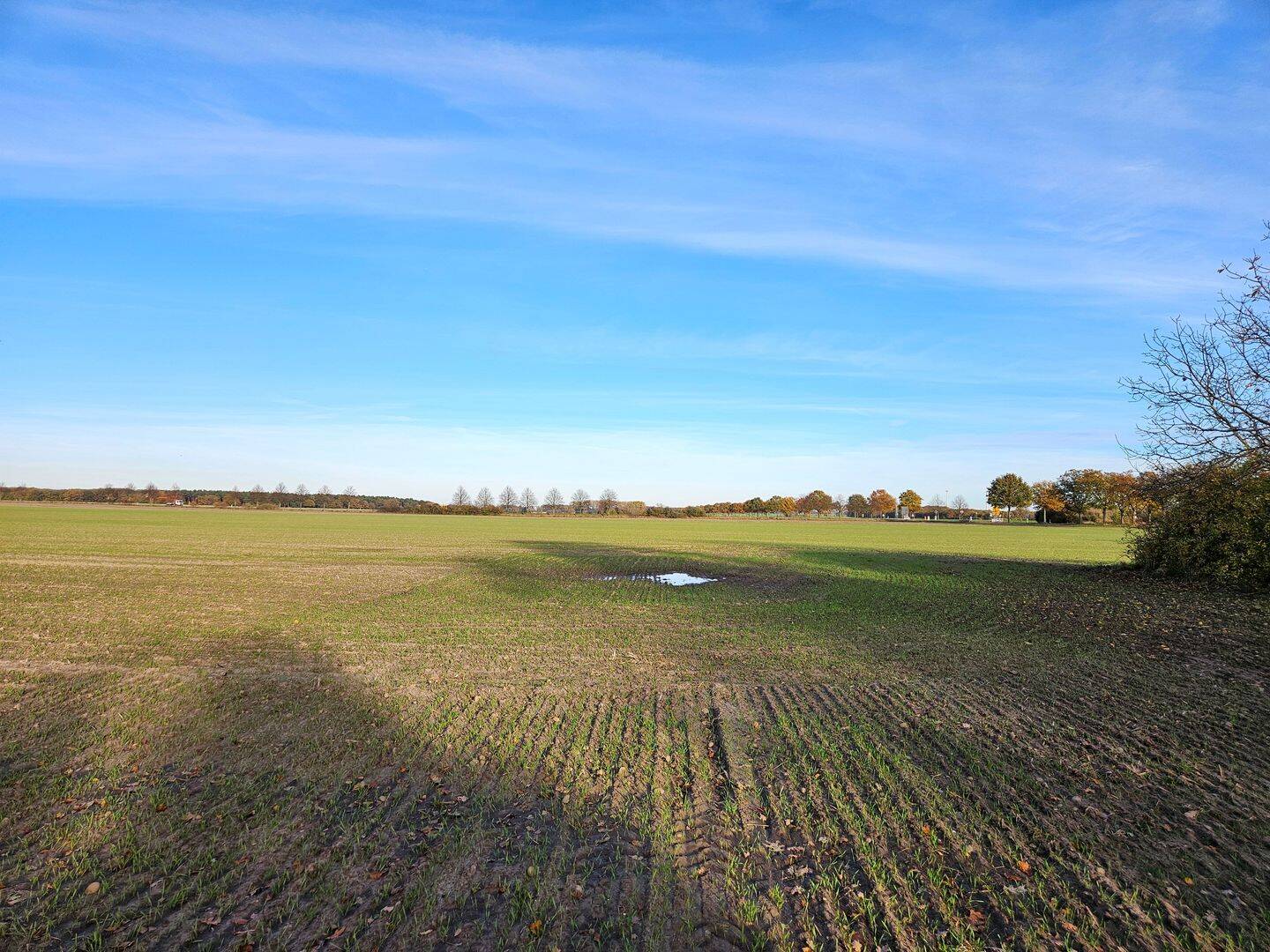 Das clevere Raumwunder 100 im kommenden Baugebiet in Stederdorf. – Peine – Vorschaubild 4