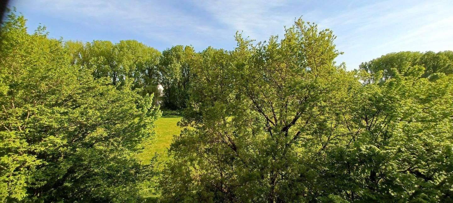 Großzügige, helle 2 ,5 Zim. Wohnung unverbaubarer Blick auf die Donau! – Regensburg – Vorschaubild 3