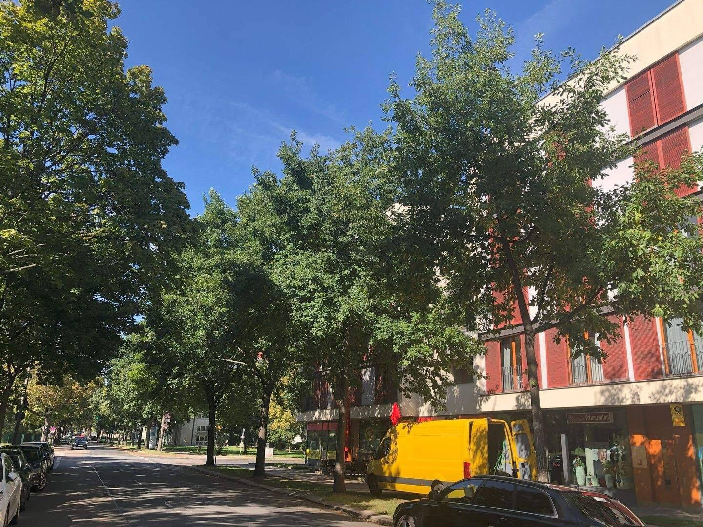 Ankommen. Wohlfühlen. Zuhause sein – Maisonette in der Südvorstadt! – Dresden – Vorschaubild 4