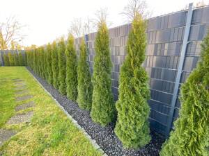Großzügiges Familienhaus auf 632 qm sonnigem Eckgrundstück mit grossem Garten – 12355 Berlin – Vorschaubild 3