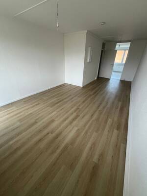 *wir schenken Ihnen 3 Kaltmieten* – 29221 Celle – Vorschaubild 5