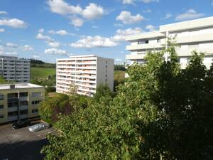 Gut aufgeteilte Wohnung in ruhiger Lage Nähe Uni - ideal auch für Studenten WG – 54296 Trier – Vorschaubild 7
