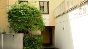 Stilvolles Wohnen mit Blick ins Grüne: Vermietete 3-4 Zimmer DG-Wohnung mit Balkon, Kamin & Garage – 65189 Wiesbaden – Vorschaubild 7