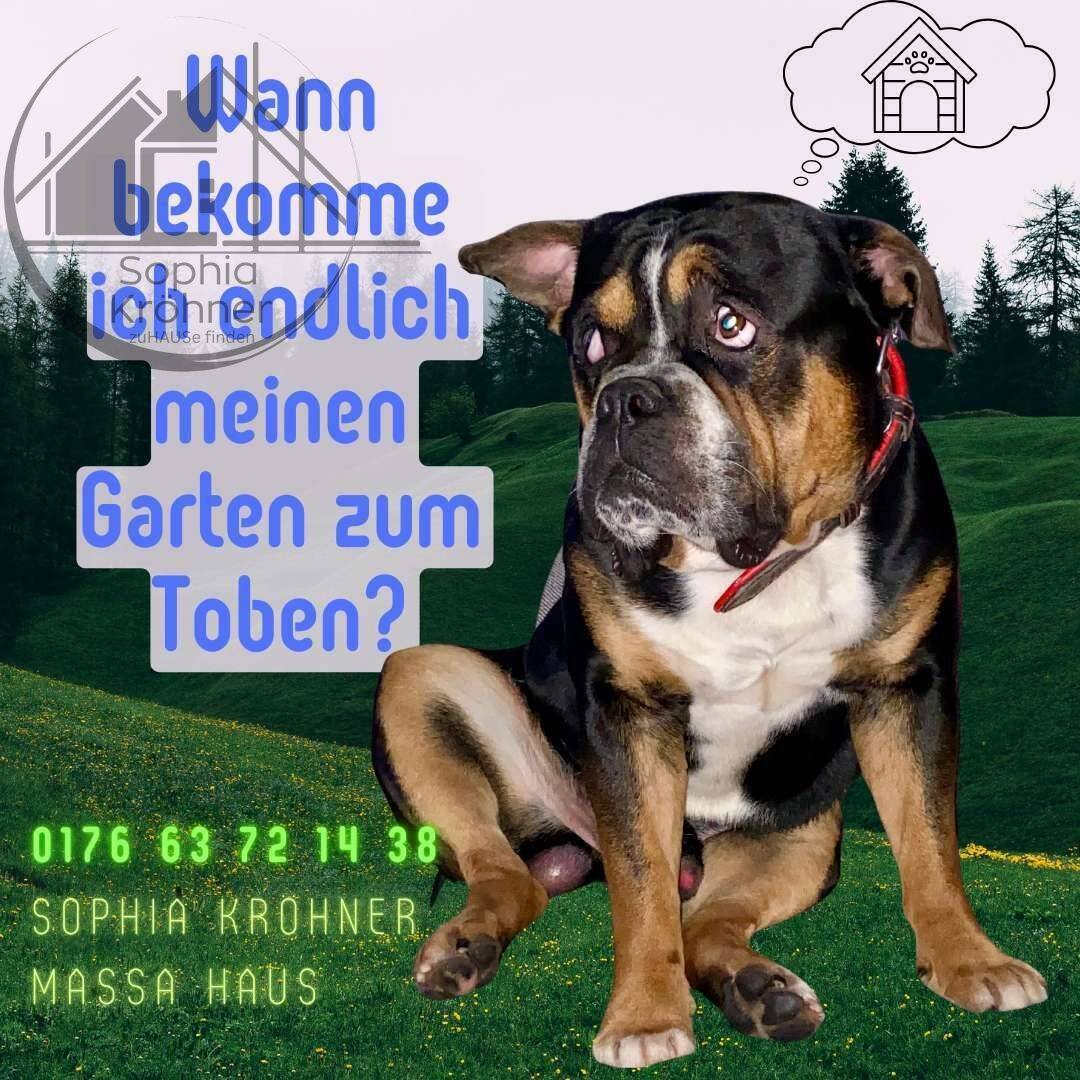134 m² pure Wohnfreude - Durchdacht & perfekt für Euren Alltag
