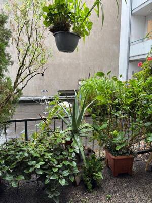 Gut geschnittene 3 Zimmer mit Balkon – 47058 Duisburg – Vorschaubild 6