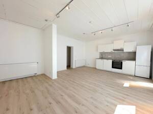 ?? Moderne frisch sanierte 2-Zi-Wohnung mit offener Wohnküche und neuer EBK - MA-Waldhof