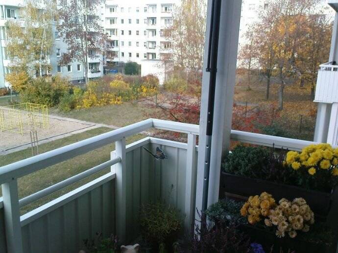 Helle Nichtraucher-Etagenwohnung in sehr guter Stadtlage mit Einbauküche, Stellplatz und zwei Kellerräumen!