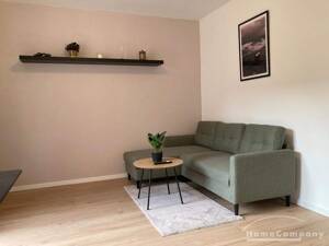 27682 HomeCompany Dresden Möbliert/Furnished 2-Zimmer Apartment mit Balkon in Dresden- Strehlen max. 2 Personen – 1219 Dresden – Vorschaubild 4