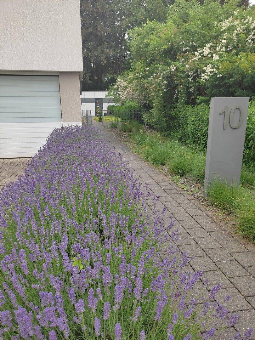 Komfort-Wohnun Bj. 2014 (ca. 80 qm) / Barrierefrei / Kleve-Materborn / hochwertige Möbel.