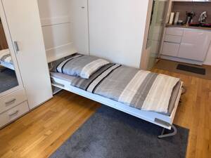 Möblierte Luxus-Wohnung in Sachsenhausen mit Balkon & PKW-Stellplatz. Furnished luxury apartment with balcony and car parking place – 60598 Frankfurt am Main – Vorschaubild 8