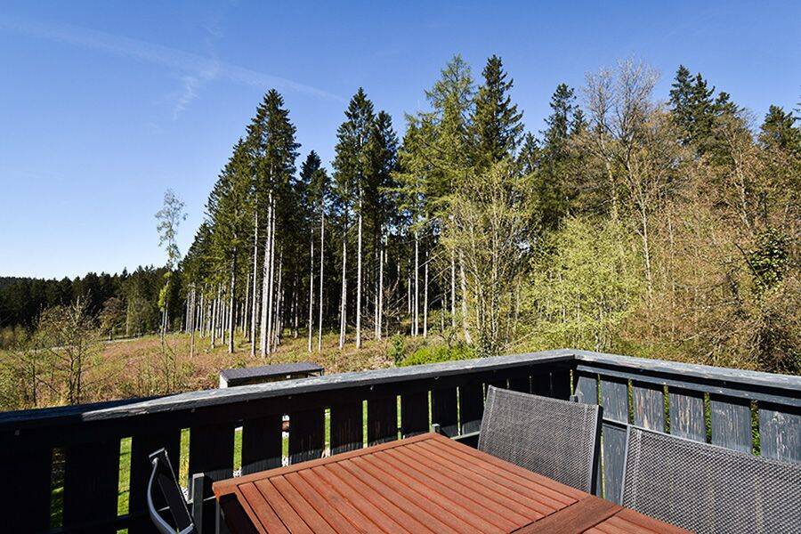 Schönes, modernes Haus mit 3 Wohneinheiten in Hahnenklee-Bockswiese! – Goslar – Vorschaubild 7