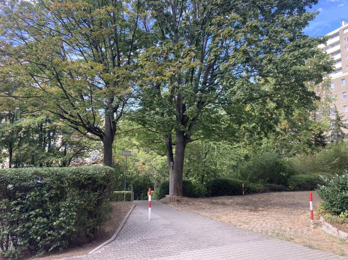 Sofort beziehbare hübsche saubere Eigentumswohnung zu vermieten – 55127 Mainz – Bild 1 von 9