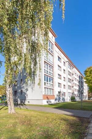 Frisch saniert zum 01.10.2026 - schick, hell, sonnig mit Blick auf den Nordpark – 39106 Magdeburg – Vorschaubild 3
