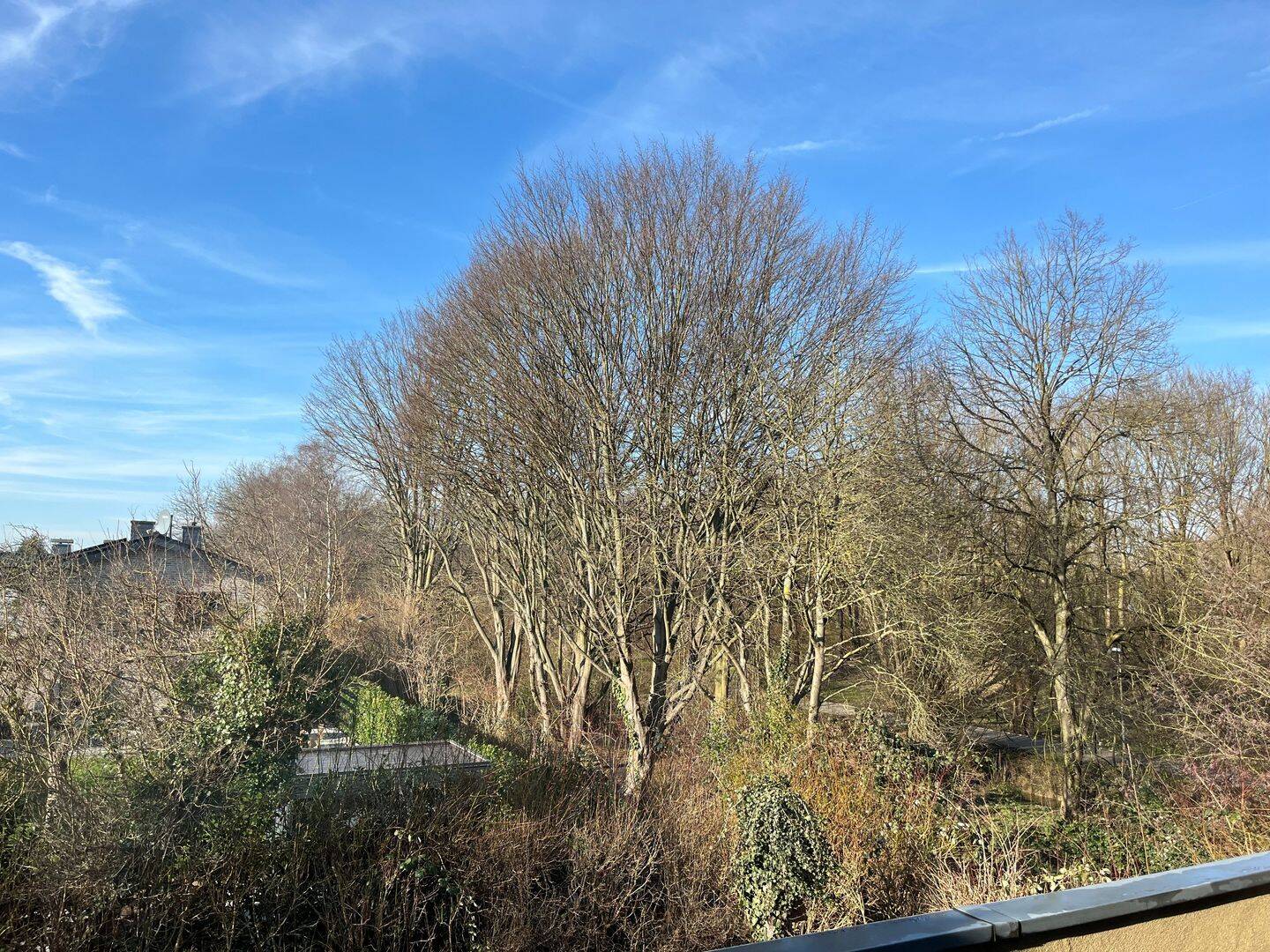 1 bzw. 2 Familienhaus, beste Lage&Möglichkeiten – Paderborn – Vorschaubild 6