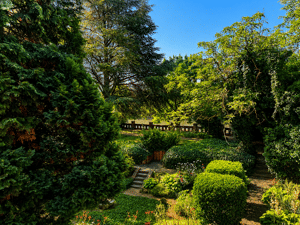 Gemütliches 1-Zimmer-Apartment mit Gartenblick in begehrter Mosellage – 56070 Koblenz – Vorschaubild 5